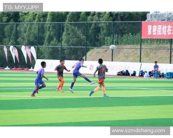 大小眼的足球明星们如何在赛场上展现独特魅力与风采 大小眼的足球明星们如何在赛场上展现独特魅力与风采