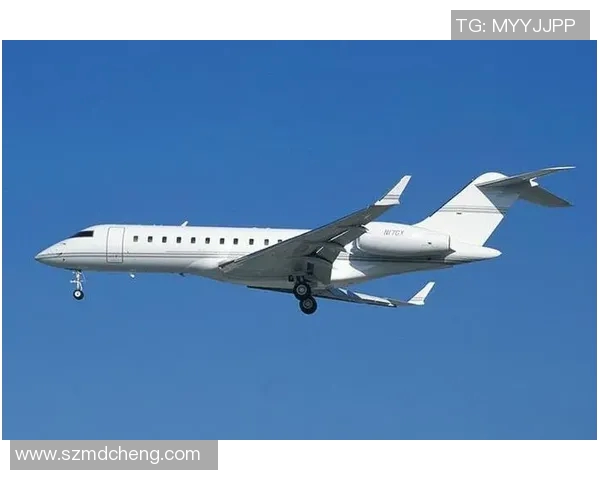 全球体育明星私人飞机奢华排名揭晓谁是空中巨星的领军人物 全球体育明星私人飞机奢华排名揭晓谁是空中巨星的领军人物