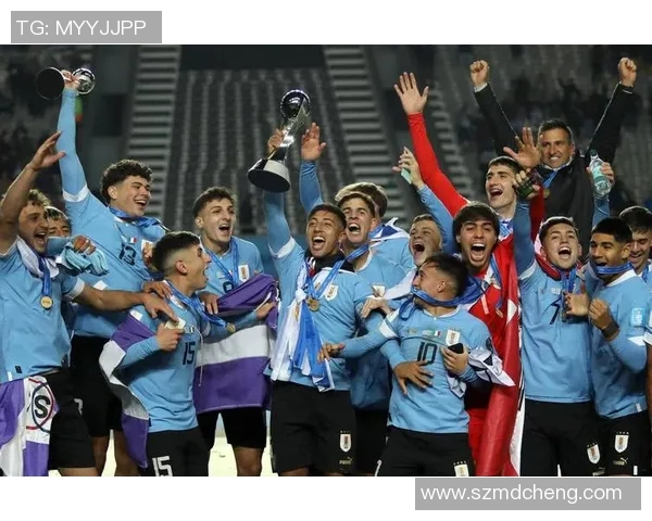 巴西与乌拉圭精彩对决录播回顾分析及比赛亮点总结