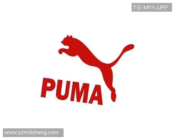 2023年全球体育运动品牌最新排名揭晓你最爱的品牌上榜了吗